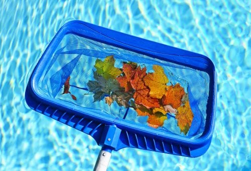 Skimming leaves from pool